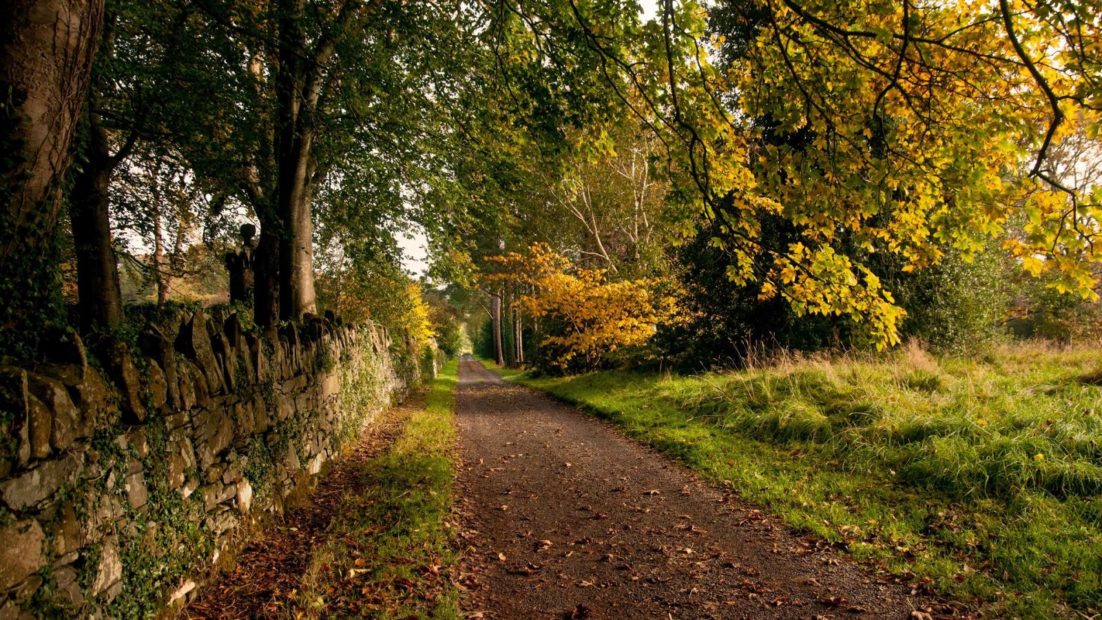 Scenic Walk in Rowallane Gardens, Autumn